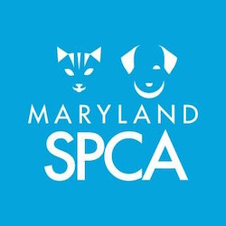 SmartLogic Donates to Maryland SPCA