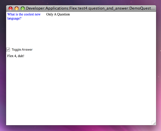 DemoQuestionAnswer Screenshot with Checkbox selected
